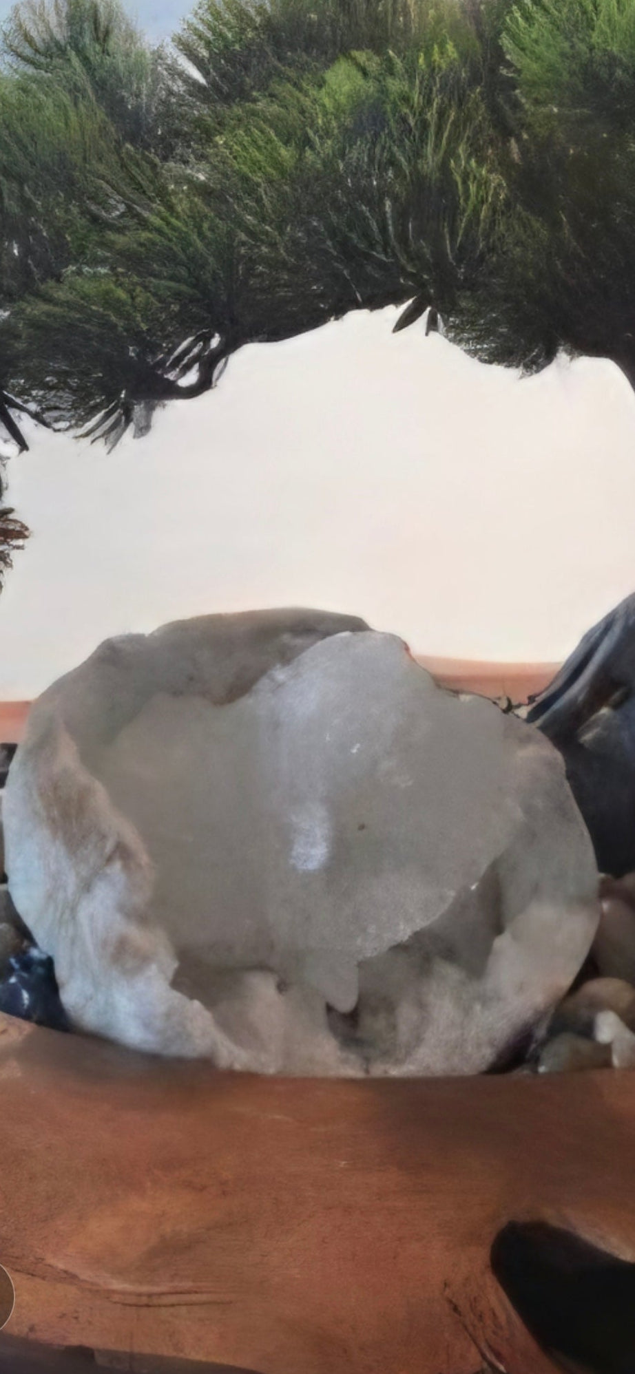 Bonsai tree with a large stone and pebbles on a wooden surface
