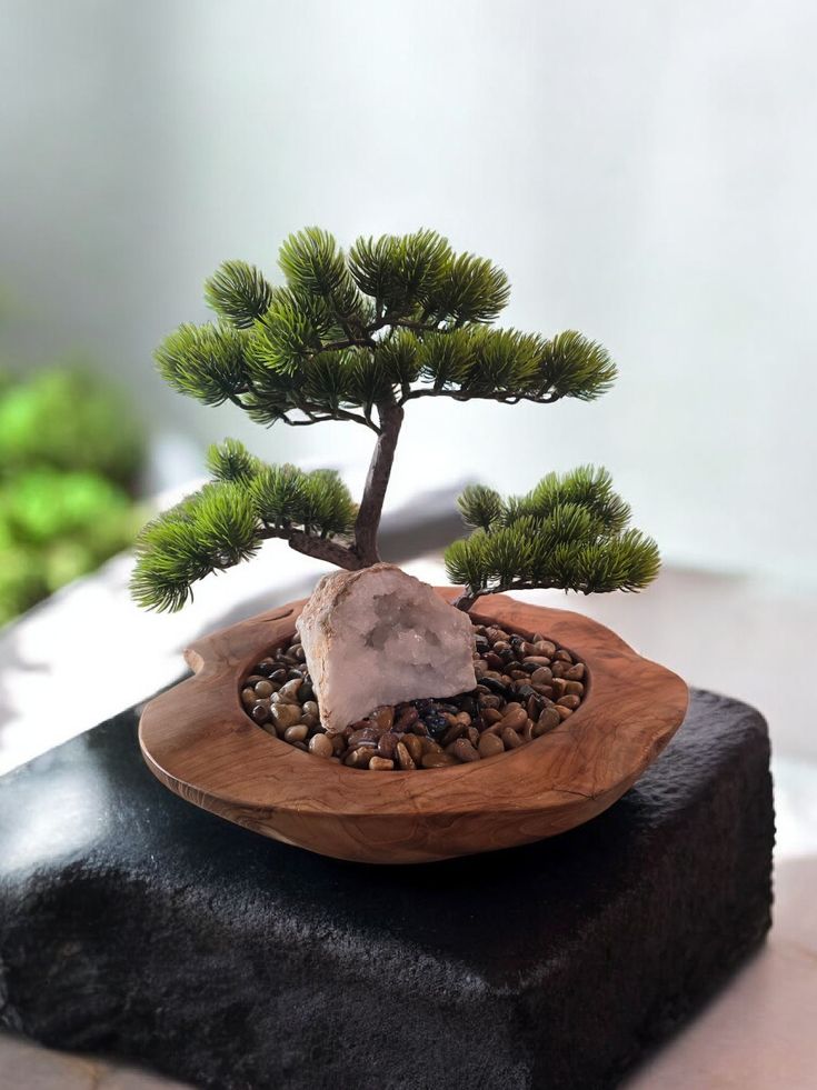PATE - Zen Bonsai Bowl