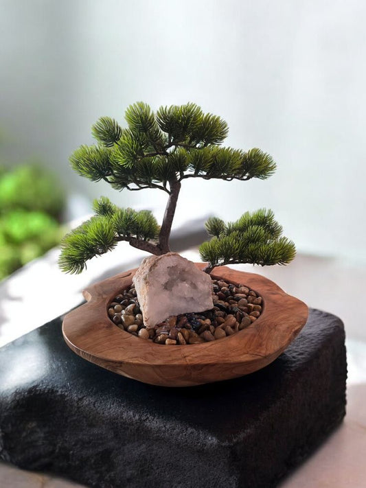 PATE - Zen Bonsai Bowl