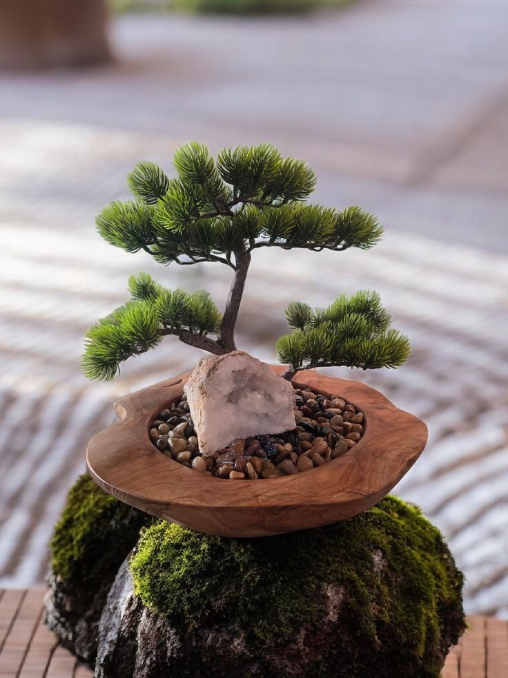 PATE - Zen Bonsai Bowl