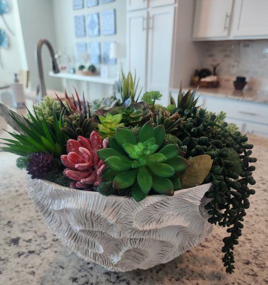SOLD -Succulents