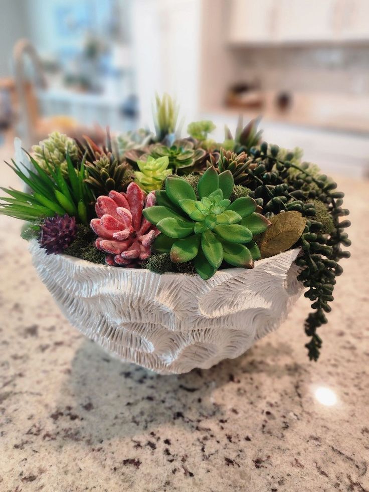 SOLD - Succulents in Polyresin Bowl