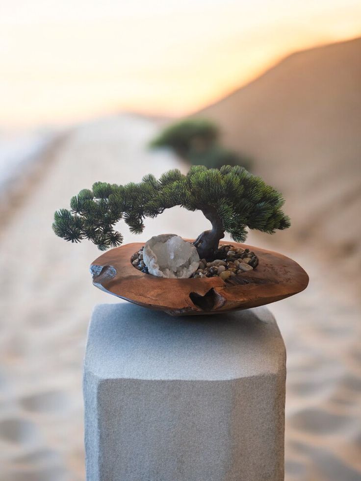 Bonsai Bowl with Geode