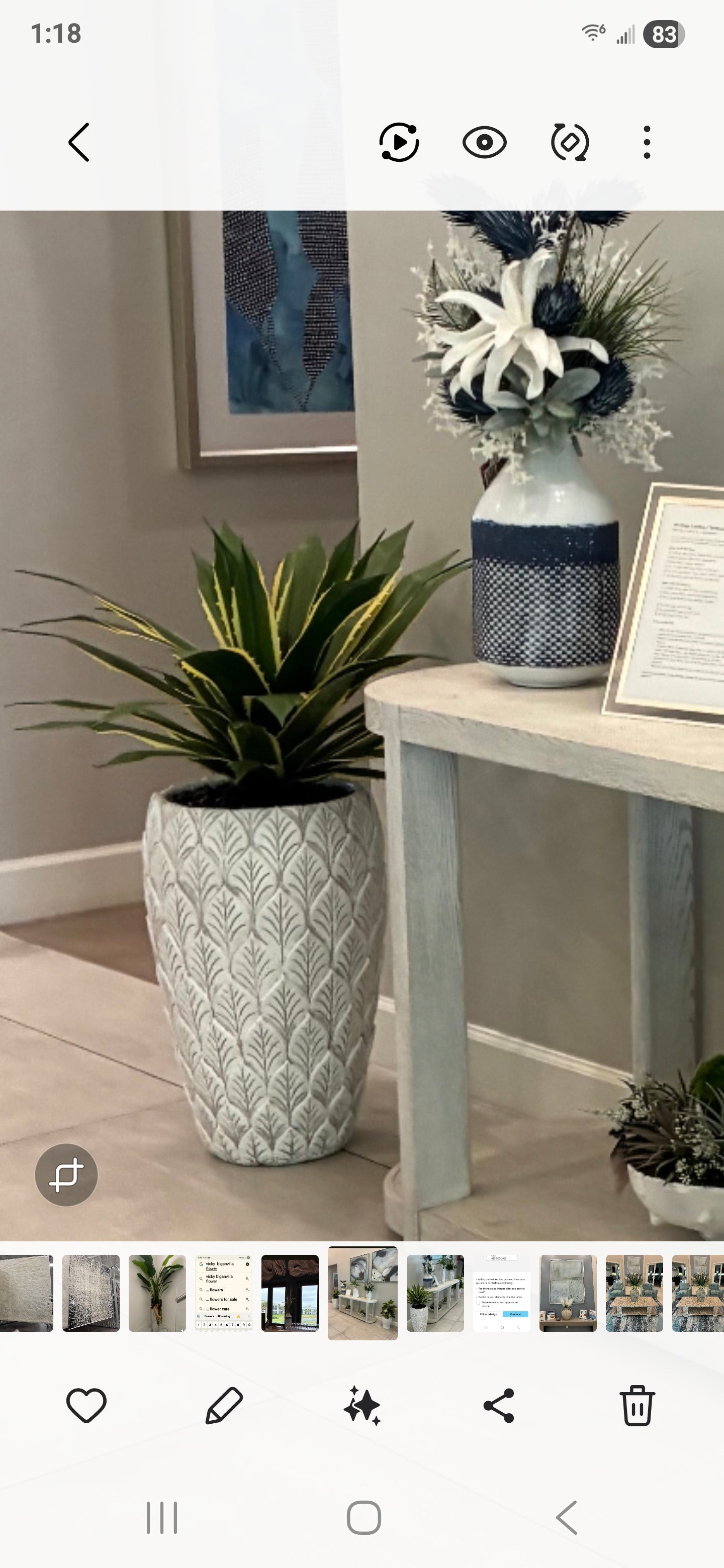 SOLD - Large floor vase with Agave with black rock