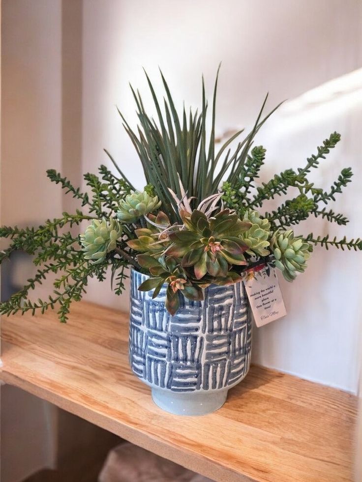 Blue and white pot with an array of succulents